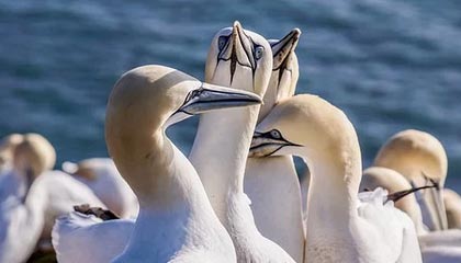 临沧2026年最新北京商务伴游经纪招聘渠道分享(最方便真实的临沧北京爱特博旅运服务有限责任公司招聘方法)