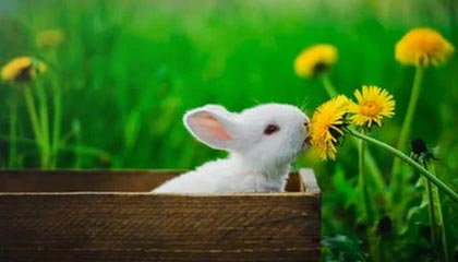 临沧2026年最新杭州高端商务伴游招聘网渠道分享(最方便真实的临沧茉莉伴游伴游天下全国联盟方法)